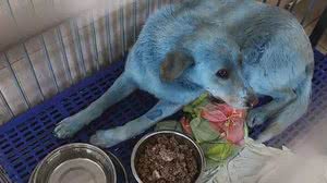 Reprodução/CNN Brasil