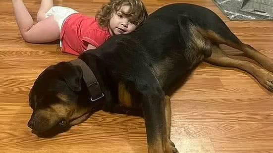 Thea Chase, de 2 anos, deitada sobre um dos cachorros de sua família, que a acompanhou quando ela saiu de casa e foi encontrada em floresta | Reprodução / Redes sociais