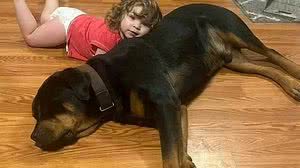 Thea Chase, de 2 anos, deitada sobre um dos cachorros de sua família, que a acompanhou quando ela saiu de casa e foi encontrada em floresta | Reprodução / Redes sociais