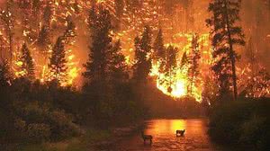 Austrália | Reprodução