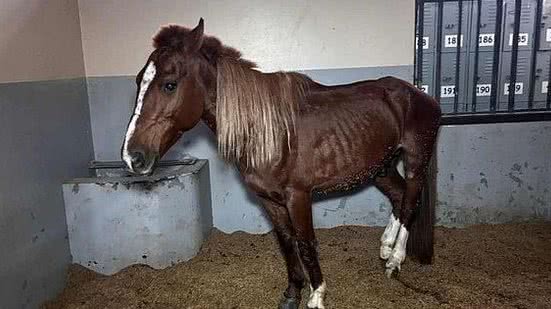 Foto: Reprodução/CBM