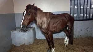 Foto: Reprodução/CBM