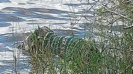 Foto: Reprodução/Correio Notícia