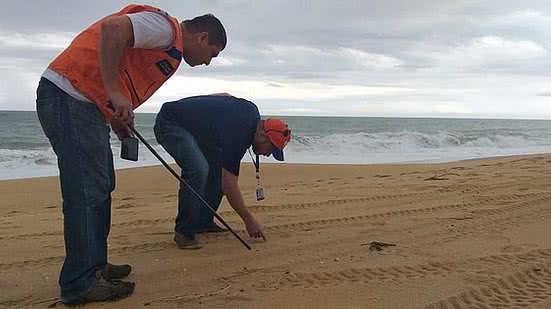 Funcionários da Prefeitura de Vila Velha procuraram fragmentos de óleo nesta terça, mas não encontraram | Divulgação/Prefeitura de Vila Velha