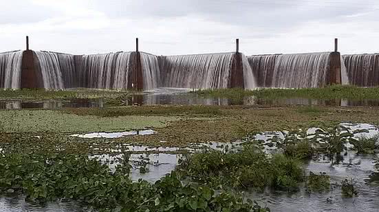 Reprodução Tribuna do Ceará