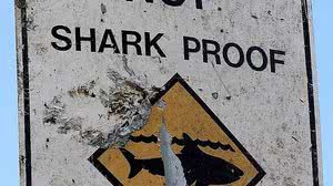 Imagem Tubarão ataca e puxa garoto de 10 anos de dentro de barco na costa da Austrália