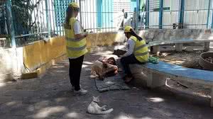 Equipe de Articulação e Mobilização Social do Ronda no Bairro localizou pai de menina nascida na sexta-feira | Ascom Ronda no Bairro