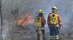 Bombeiros trabalham para conter incêndio em mata em Brasília | Folhapress
