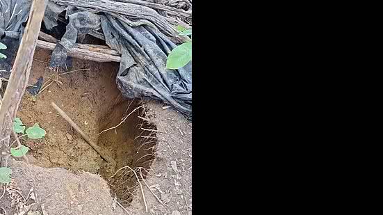 Reprodução/TV Globo