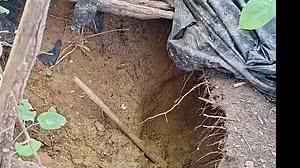 Reprodução/TV Globo