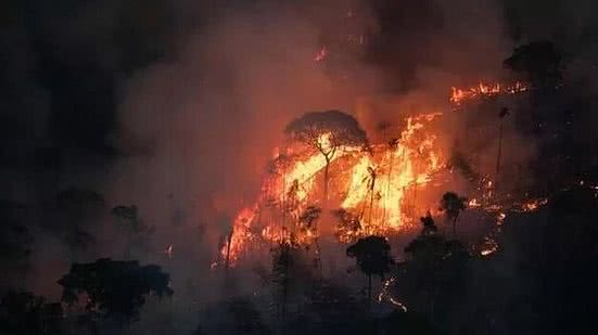 Foto: Nilmar Lage / Greenpeace