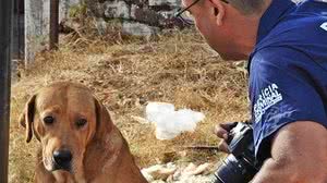 Rodrigo Evalt / Jornal A Plateia