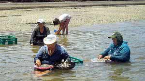 Reprodução/Codevasf