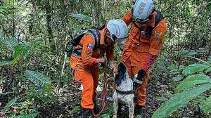 Foto: Divulgação/CBM-AL