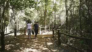 Reprodução/TV Brasil