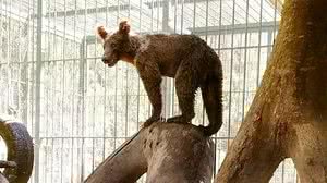 Reprodução/Twitter