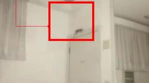 Foto: Reprodução/Reprodução