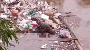 Divulgação/Bombeiros