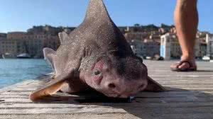 Reprodução/Facebook