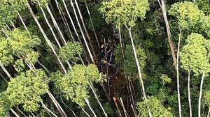 Foto: Reprodução/PMESP