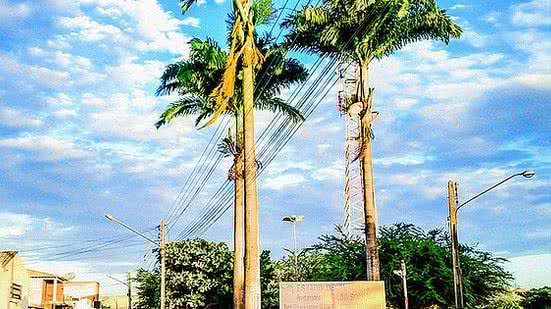 Entrada da cidade de Campo Grande, no interior de Alagoas | Reprodução