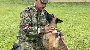 Foto: Divulgação/Exército da Colômbia
