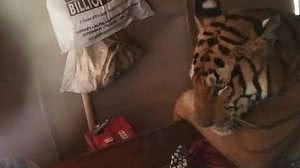 Reprodução/BBC Brasil