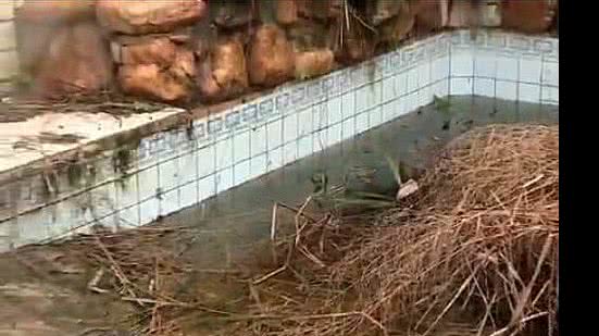 Ações de fiscalização em terrenos baldios intensificam combate ao Aedes aegypti em Maceió | Foto: Cortesia / Ascom SMS