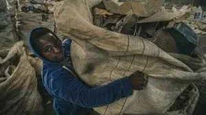 Foto: Reprodução/Milton Lima