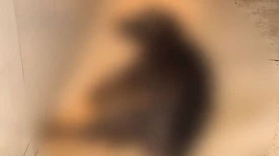 Reprodução / TV Pajuçara