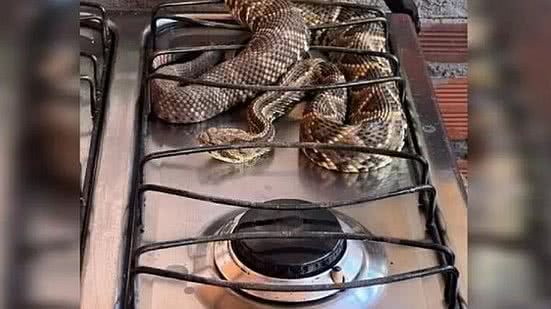 Reprodução/Rede Social