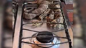 Reprodução/Rede Social