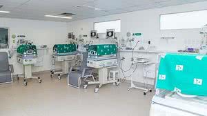 Foto: André Palmeira /Agência Alagoas