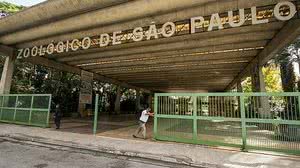 Marcelo Gonçalves/Estadão