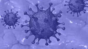 São Paulo tem 28 mortes em um único dia por coronavírus | Pixabay