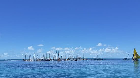 Divulgação / IMA-AL