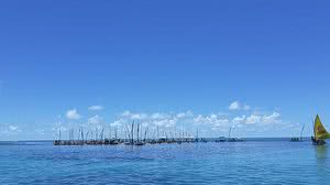 Divulgação / IMA-AL