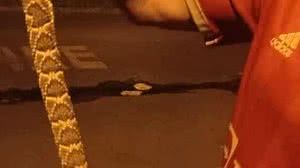 Reprodução / Redes sociais