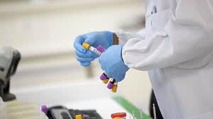 Foto: Governo de São Paulo