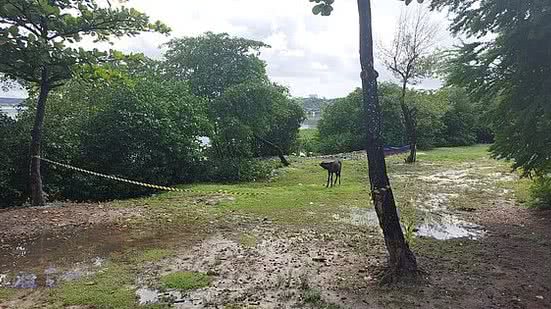 Williamis Tavares/TV Pajuçara