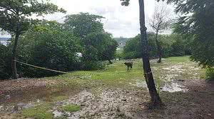 Williamis Tavares/TV Pajuçara