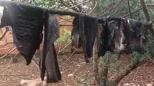 Foto: PM/Divulgação