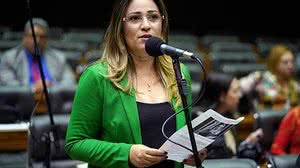 Rejane Dias: ações nesse sentido já vêm sendo autorizadas em alguns estados | Pablo Valadares / Câmara dos Deputados