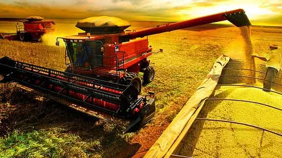 Setor Produtivo | Reprodução/Internet