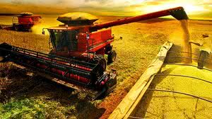 Setor Produtivo | Reprodução/Internet