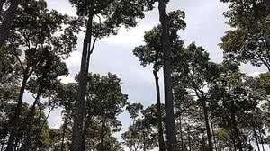 Renata Silva/Canal Rural