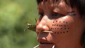 De acordo com o Ministério dos Povos Indígenas, 99 crianças do povo Yanomami morreram devido ao avanço do garimpo ilegal na região. | Foto: EBC/ TV Brasil