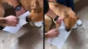 Foto: Reprodução/Redes Sociais