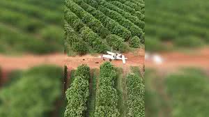 Divulgação / Força Aérea Brasileira