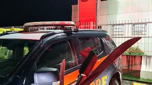 Divulgação / Polícia Rodoviária Federal